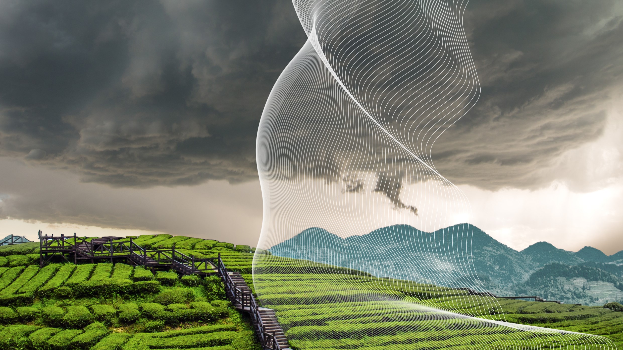 APAC HLB Survey of Business Leaders regional outlook