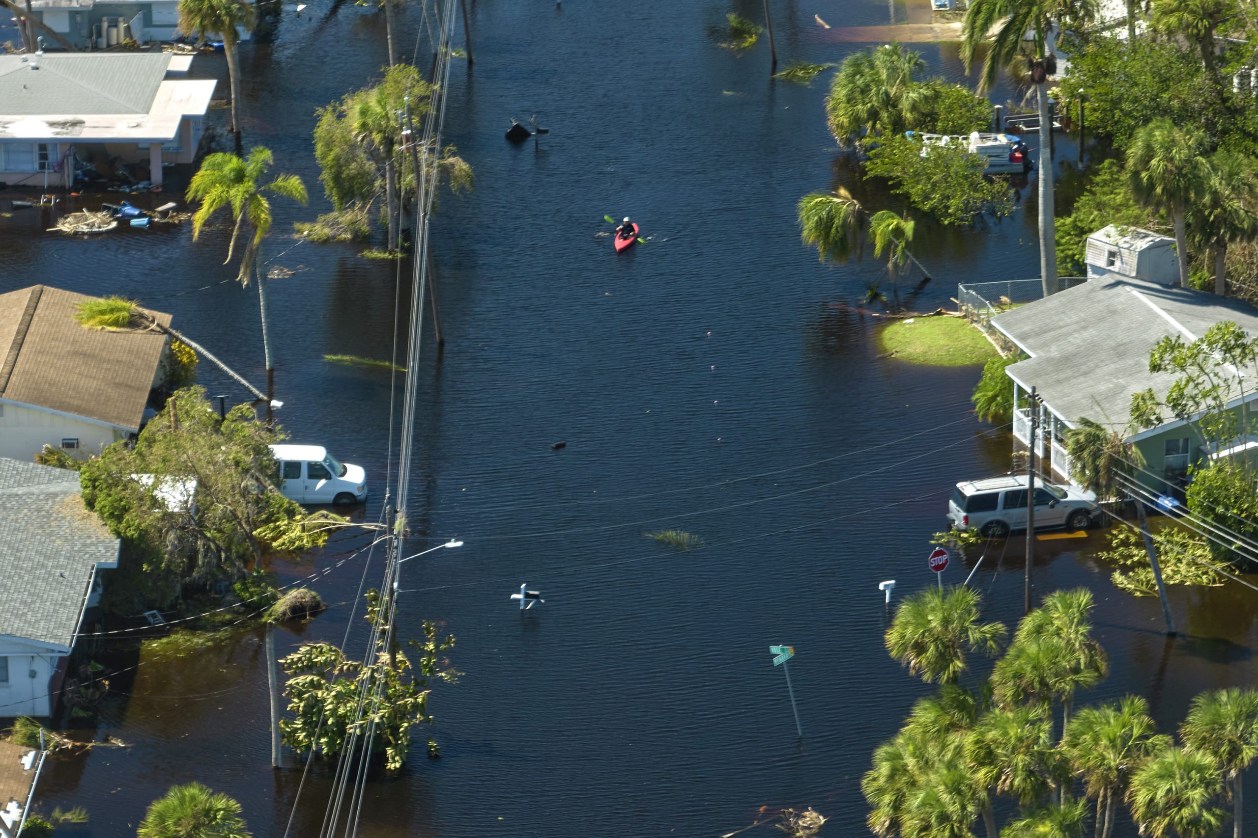 Two people in a kayak row down a flooded street, with trees and houses lining either side.